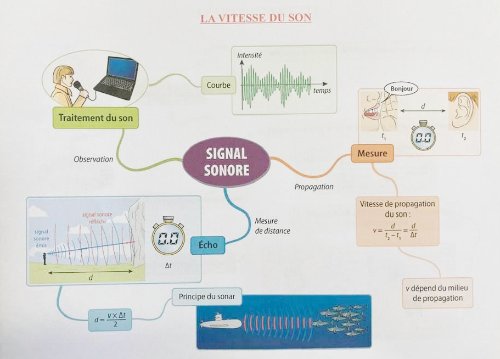 carte-mentale-savio