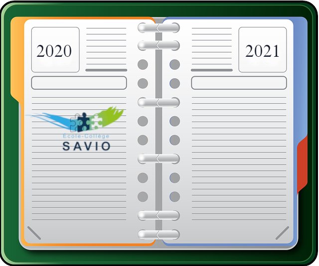 agenda Savio 2020