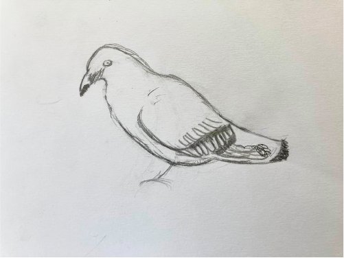 Cours de dessin à Savio