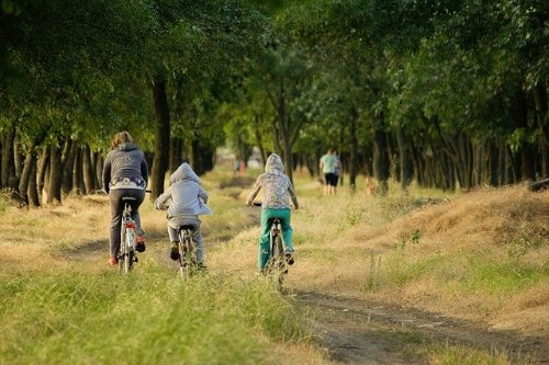 activités-sportives