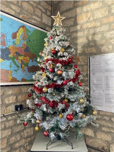 arbre de Noël Savio